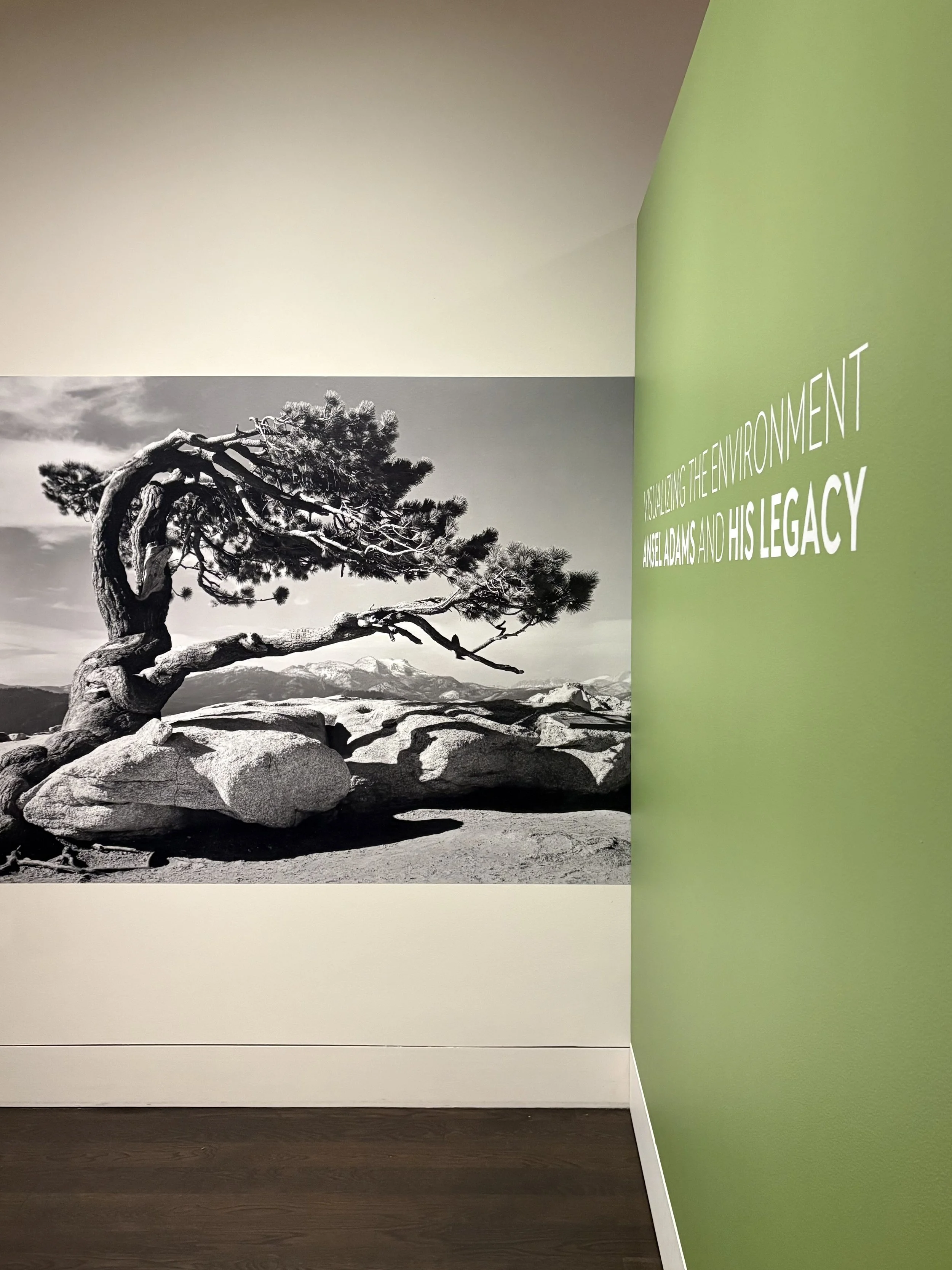 Envr.+Photography_sequence#
